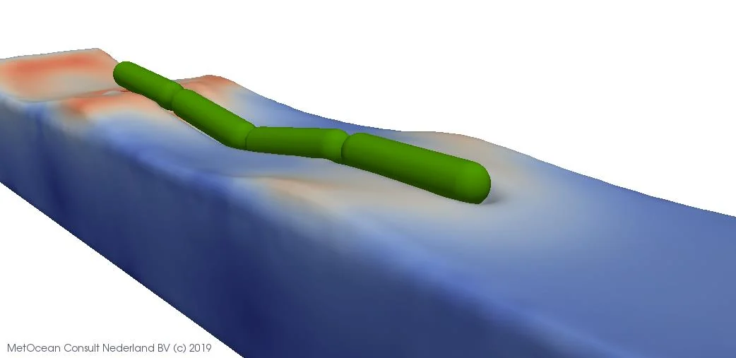 SPH simulation in the Virtual WaveLab.